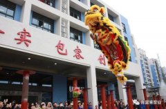 醒狮贺岁，成都冯旭设计与咨询有限公司2019年开工大吉