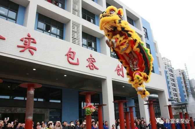 醒狮贺岁，成都冯旭设计与咨询有限公司2019年开工大吉